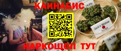 гашик Краснознаменск