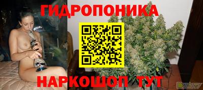гашик Краснознаменск