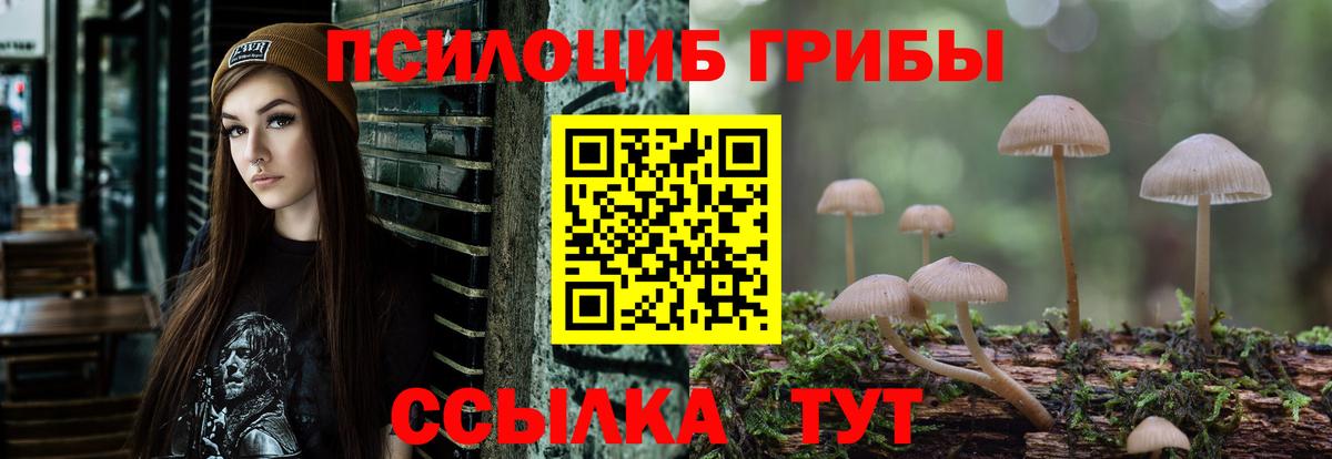 Псилоцибиновые грибы Magic Shrooms  даркнет сайт  Ефремов  Псилоцибиновые грибы GOLDEN TEACHER  Вход с VPN 